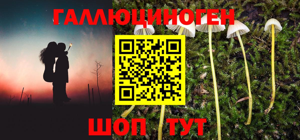 Псилоцибиновые грибы прущие грибы Сургут